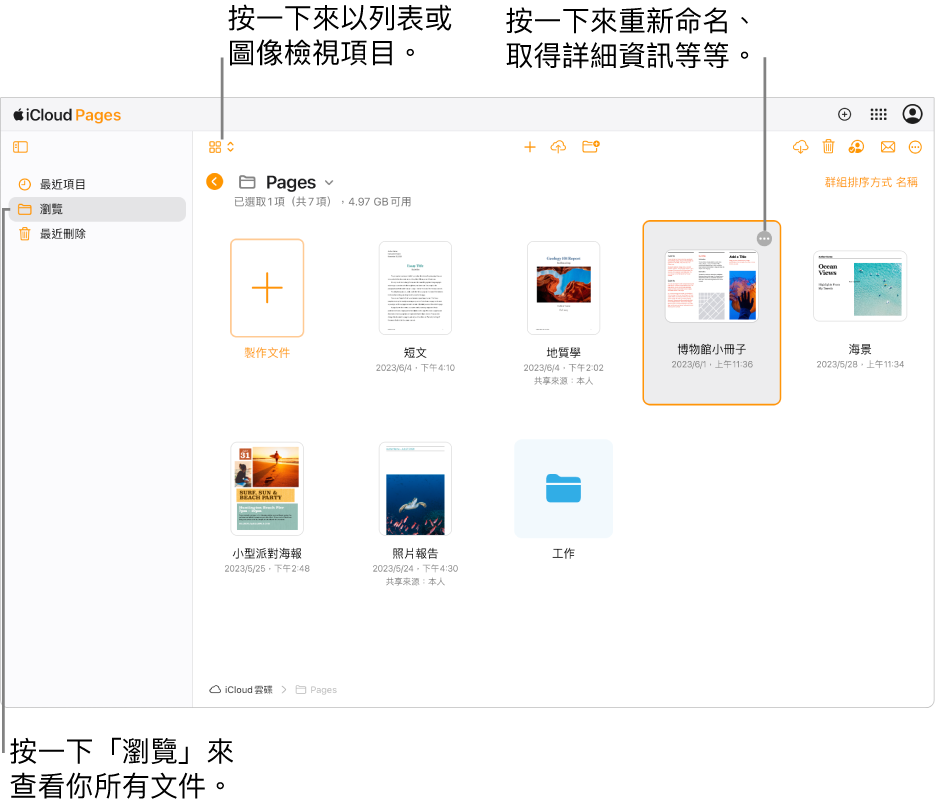 瀏覽顯示方式下的文件管理器，在格狀中以圖像顯示 Pages 文件。可以在選取文件的右上角看到「更多」按鈕（三個點）。在文件上方，工具列的左側有一個彈出式選單，你可以在其中選擇以圖像或列表方式來檢視項目。工具列的右側是下載、合作、傳送電子郵件或刪除的按鈕。