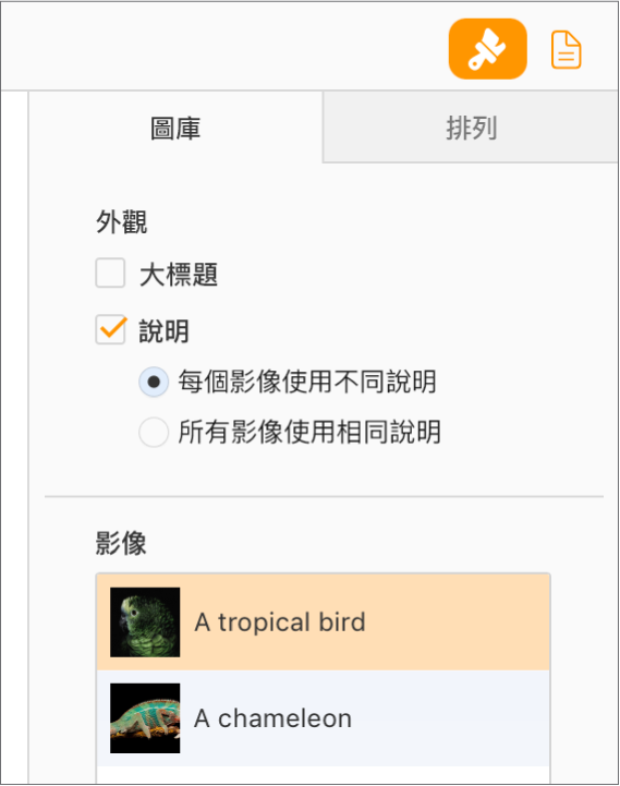 「格式」側邊欄中的「圖庫」標籤頁。「說明」註記框已選取，可選擇為每個影像提供個別說明，或讓所有影像使用相同說明。控制項目下方有各影像的縮覽圖，右側有文字說明。
