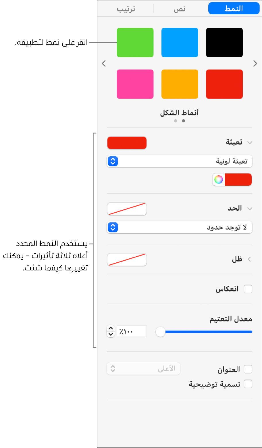 أنماط وخيارات الشكل في قسم التنسيق على الشريط الجانبي.