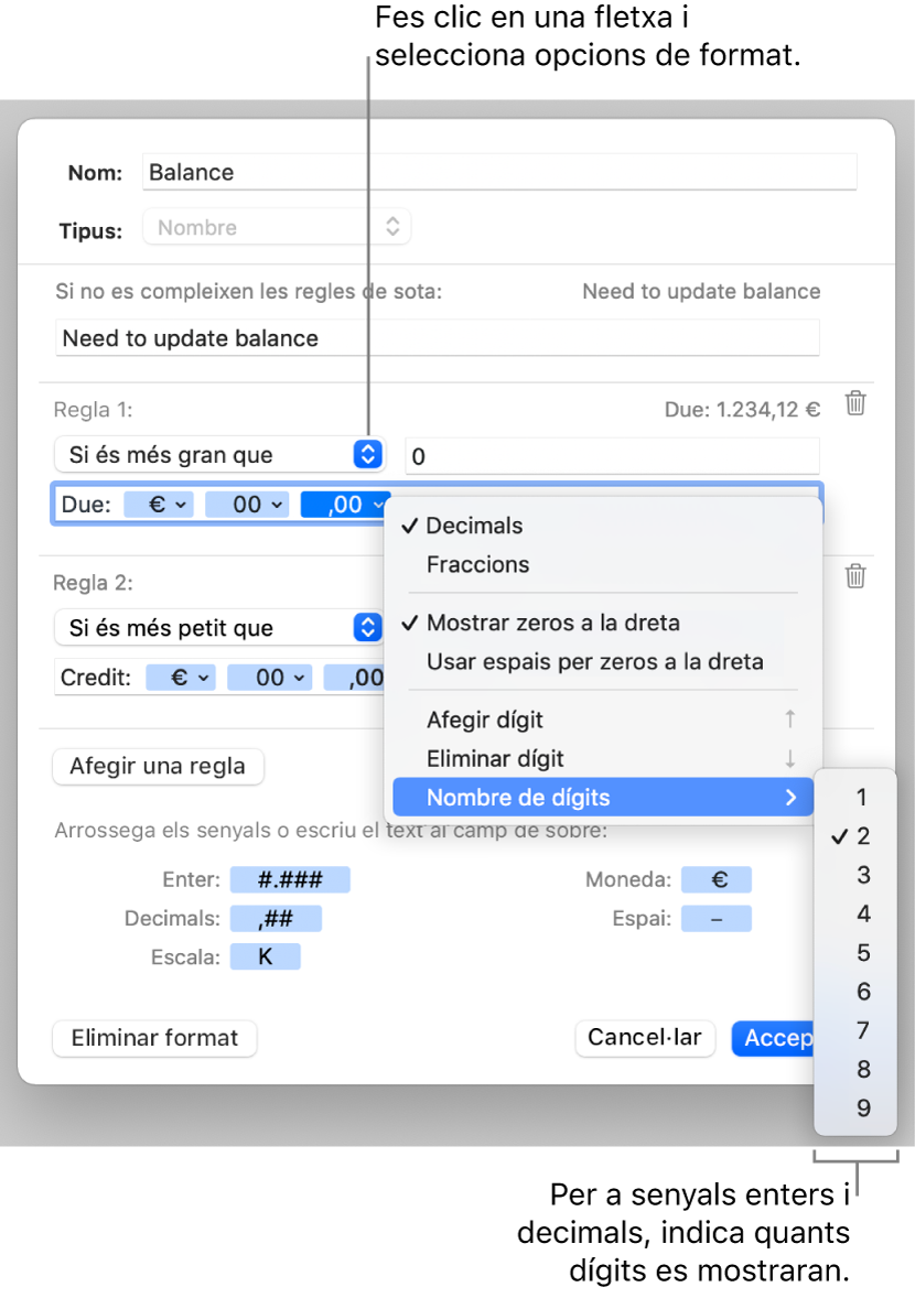 La finestra de format de cel·la personalitzat, amb controls per crear un format numèric personalitzat.