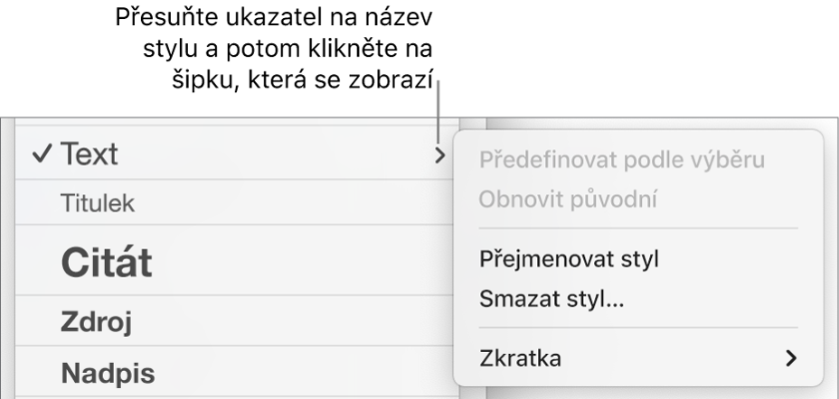 Nabídka Styly odstavců s otevřenou nabídkou zkratek.