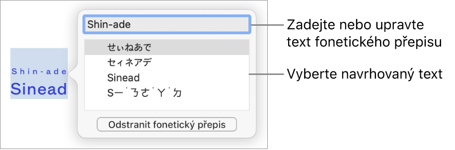 Otevřený fonetický přepis slova s popisky u textového pole a navrhovaného textu