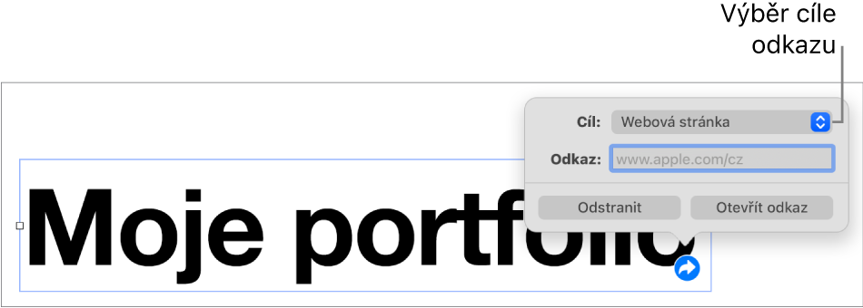 Ovládací prvky editoru odkazů s vybranou volbou Webová stránka a tlačítky Odstranit a Otevřít odkaz v dolní části.