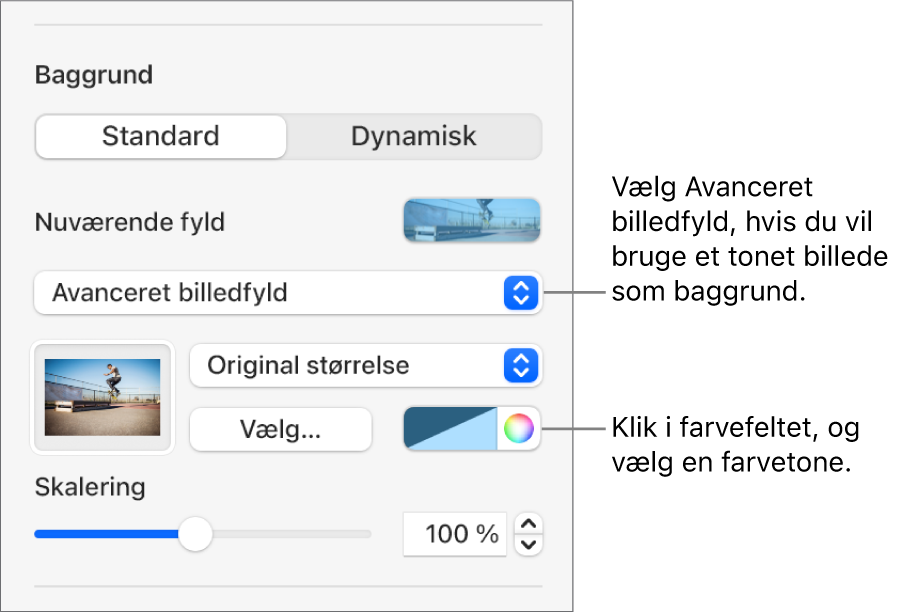 Betjeningsmulighederne til baggrund med Avanceret billedfyld med farvetone indstillet som lysbilledbaggrund.