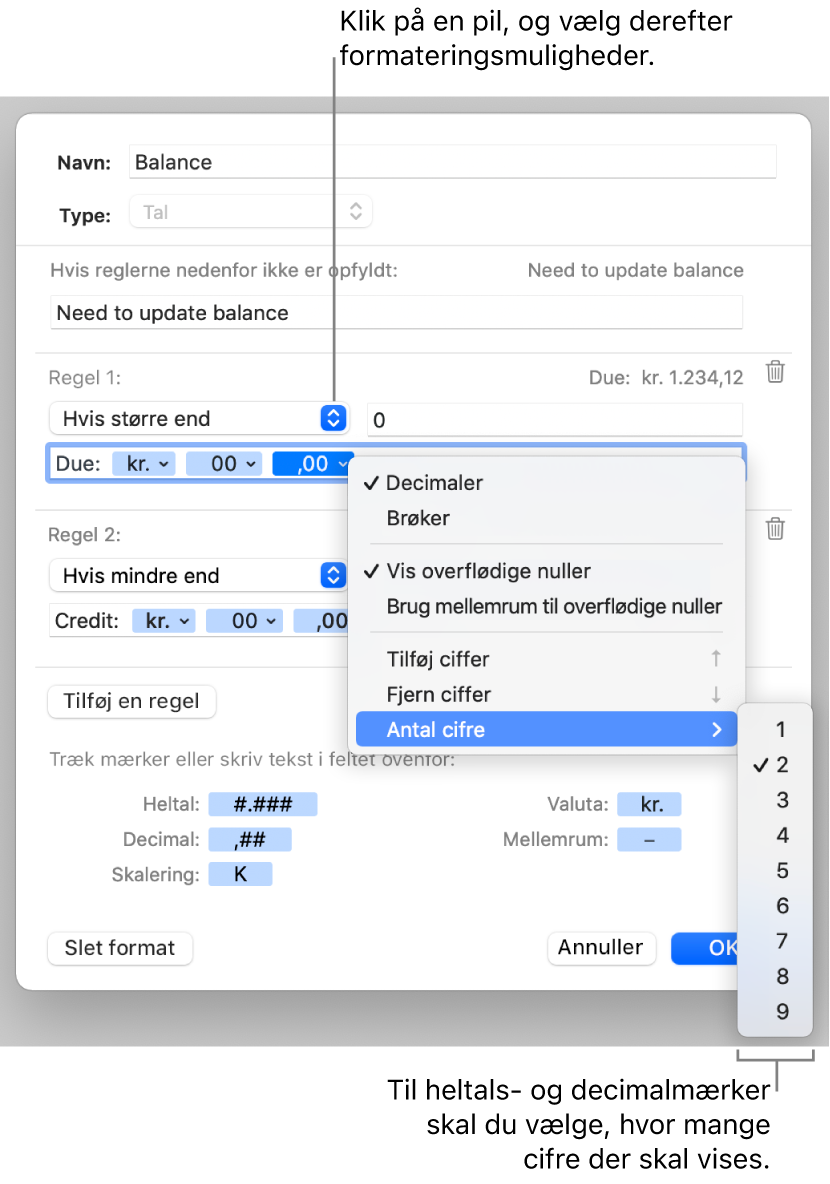 Vinduet til specielle celleformater med betjeningsmuligheder til oprettelse af et specielt talformat.