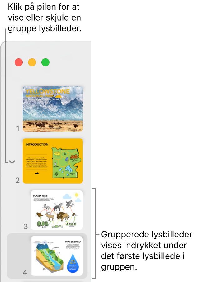 Lysbillednavigatoren, der viser indrykkede lysbilleder.