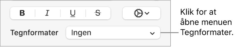 Lokalmenuen Tegnformater under betjeningsmulighederne til ændring af tekstens format og farve.