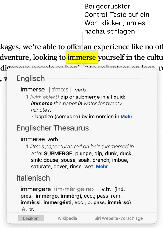 Text, in dem ein Wort hervorgehoben ist. Ein Fenster zeigt die Definition des Wortes und einen Thesaurus-Eintrag Zwei Tasten unten im Fenster stellen Links zum Lexikon und zu Wikipedia bereit