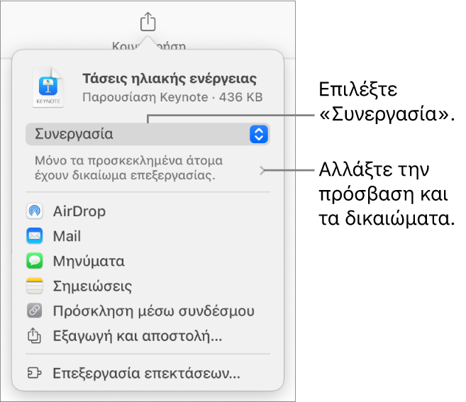 Το μενού «Κοινή χρήση» με επιλεγμένη τη «Συνεργασία» στο πάνω μέρος, και ρυθμίσεις πρόσβασης και δικαιωμάτων από κάτω.