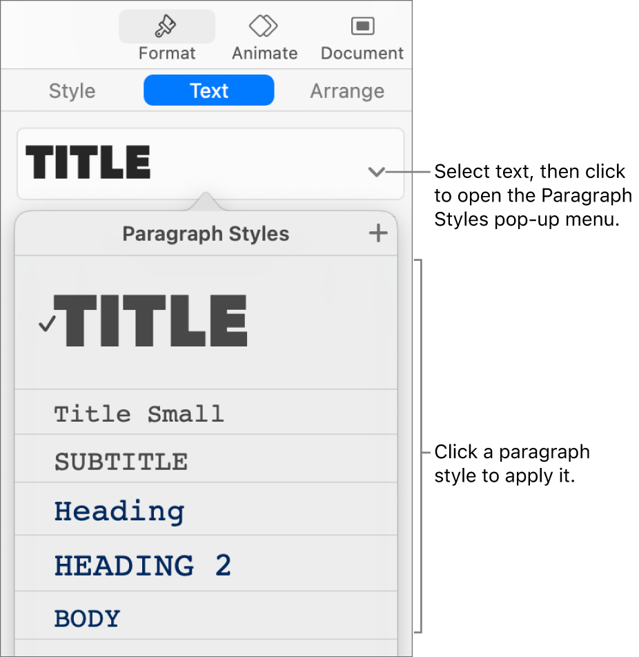 The Paragraph Styles menu with a checkmark next to the selected style.