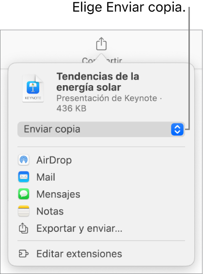 El menú Compartir con la opción Enviar copia seleccionada en la parte superior.