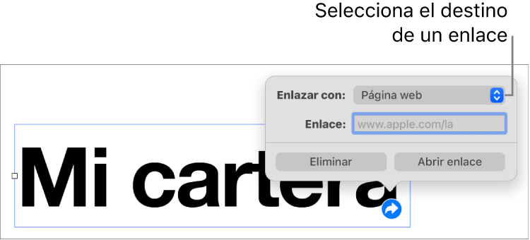 Los controles del editor de enlaces con la opción Página Web seleccionada, con el botón Eliminar y el botón Abrir enlace en la parte de abajo.