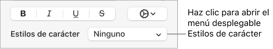 El menú desplegable Estilos de carácter debajo de los controles para cambiar el estilo y el color del texto.