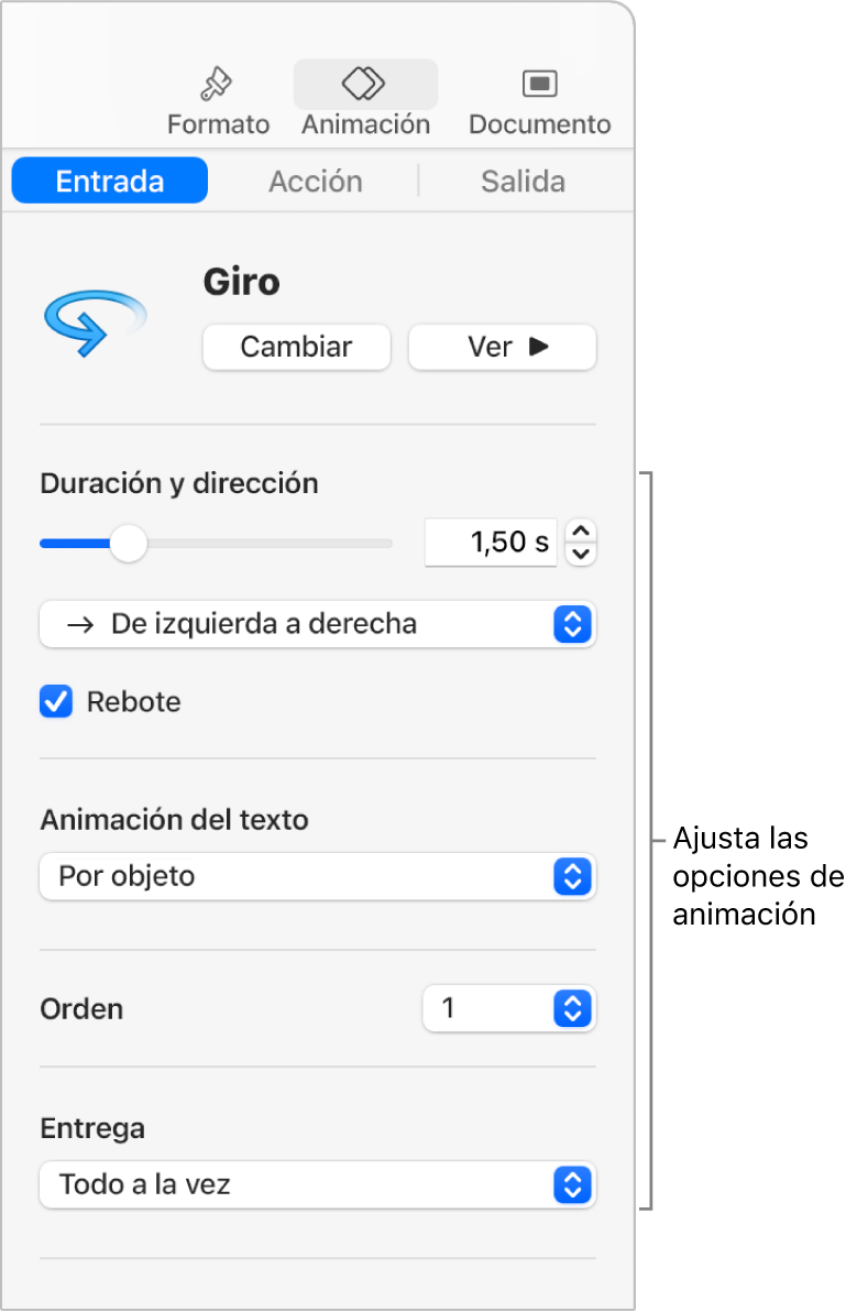 Opciones de Entrada en la sección Animación de la barra lateral.
