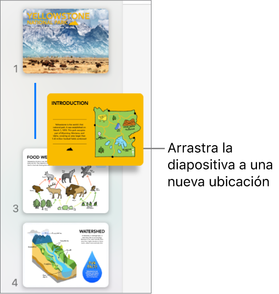 El navegador de diapositivas con la miniatura de una diapositiva reordenada con una línea a la izquierda.