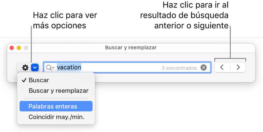 La ventana “Buscar y reemplazar” con el menú desplegable donde aparecen las opciones Buscar, “Buscar y reemplazar,” “Palabras enteras” y “Coincidir may./min.”. Las flechas de la derecha te permiten moverte entre el resultado de búsqueda anterior y el siguiente.