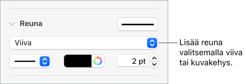 Reunatyyli-säätimet Muoto-sivupalkissa, ja Viiva on valittuna reunatyypiksi.