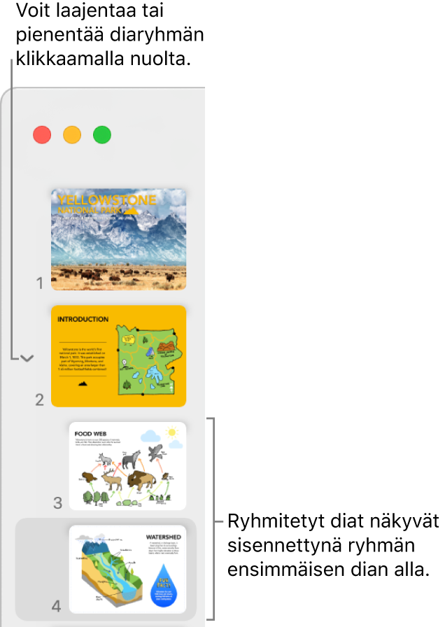 Diojen rakennenäkymä, jossa näkyy sisennettyjä dioja.