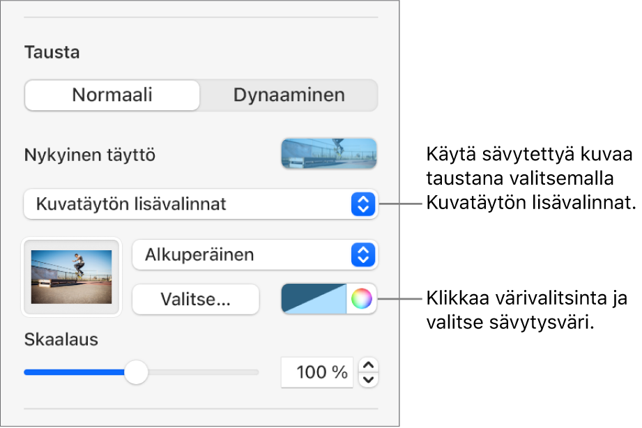 Tausta-säätimet, joissa sävytetyt Kuvatäytön lisävalinnat on asetettu dian taustaksi.