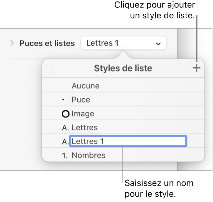 Menu contextuel Styles de liste avec un bouton Ajouter dans le coin supérieur et un nom de style de paramètre fictif dont le texte est sélectionné.