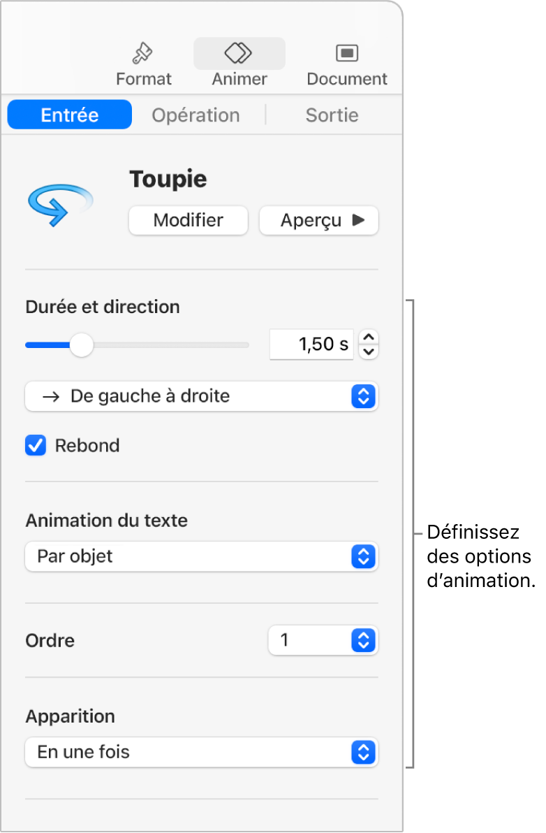 Options d’entrée de la section Animer de la barre latérale.