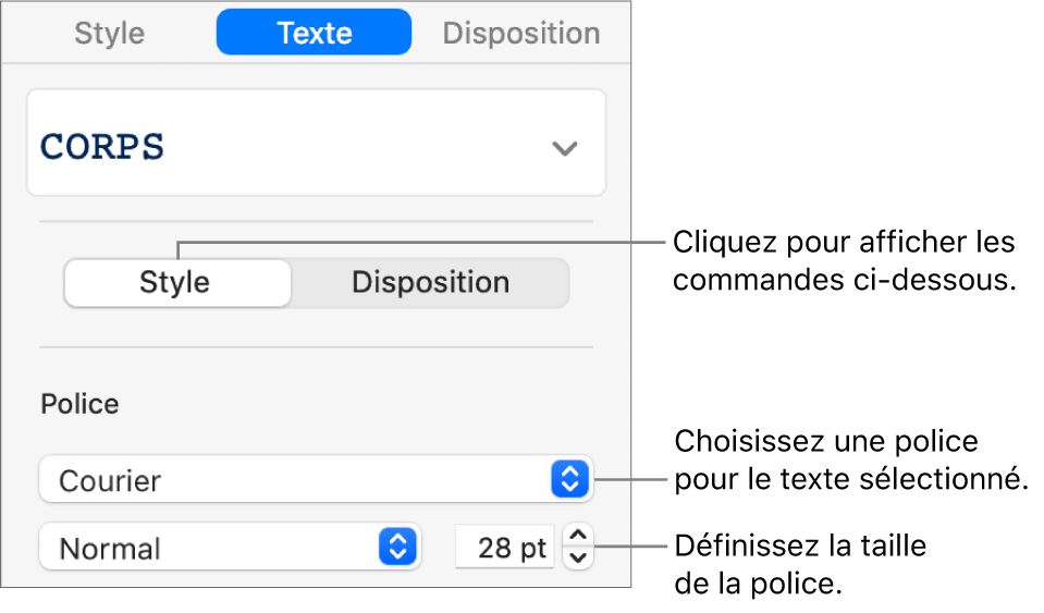 Commandes de texte de la section Style, dans la barre latérale de configuration de la police et de la taille des caractères.