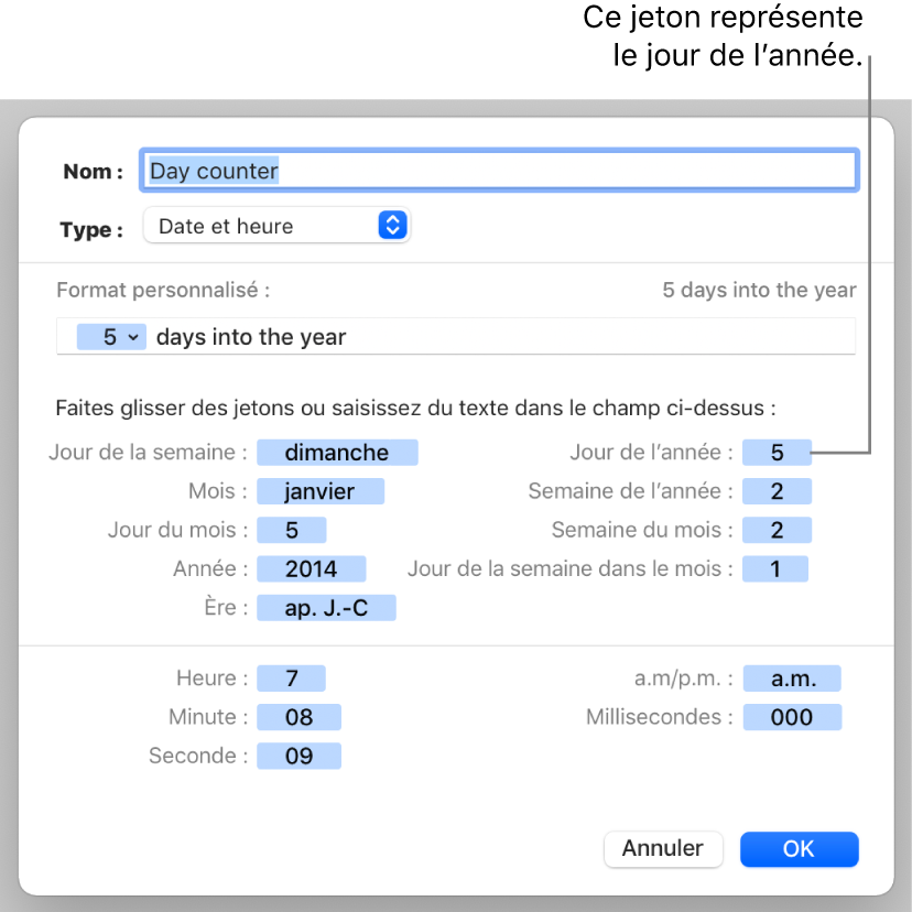 Fenêtre de format de cellule personnalisé présentant les commandes permettant de créer un format de date et d’heure personnalisé.