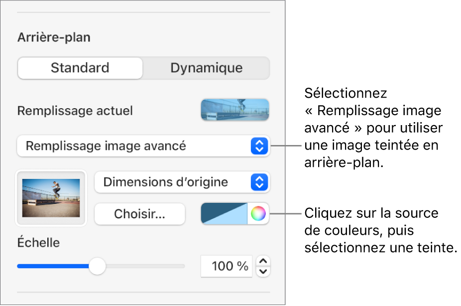 Les commandes Arrière-plan avec un remplissage image avancé teinté pour l’arrière-plan des diapositives.