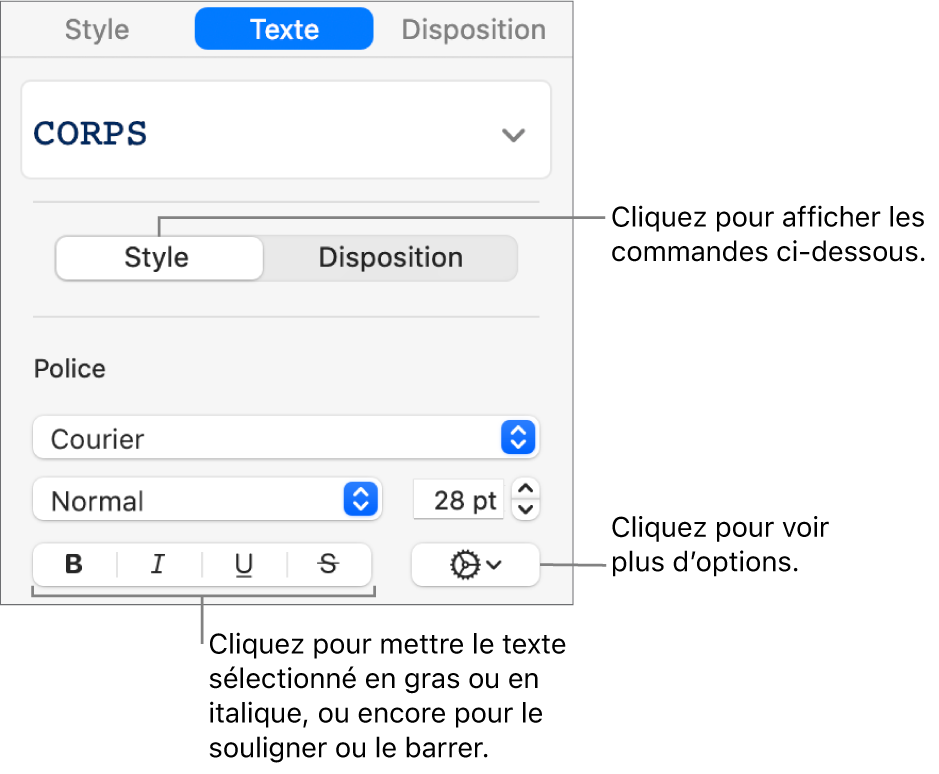 Les commandes de style de la barre latérale avec des légendes pour les boutons Gras, Italique, Souligné et Barré.