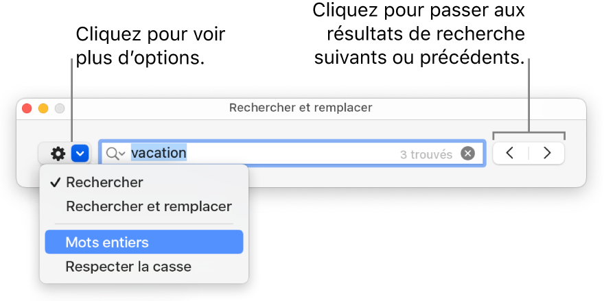 La fenêtre Rechercher et remplacer avec le menu contextuel qui affiche les options Rechercher, Rechercher et remplacer, Mots entiers et Respecter la casse. Les flèches situées à droite vous permettent d’accéder directement aux résultats de recherche précédents ou suivants.