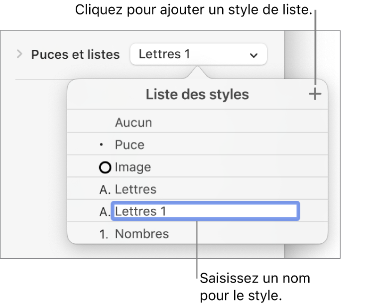 Menu local « Styles de liste » avec un bouton Ajouter dans le coin supérieur droit et un nom de style de paramètre fictif dont le texte est sélectionné.