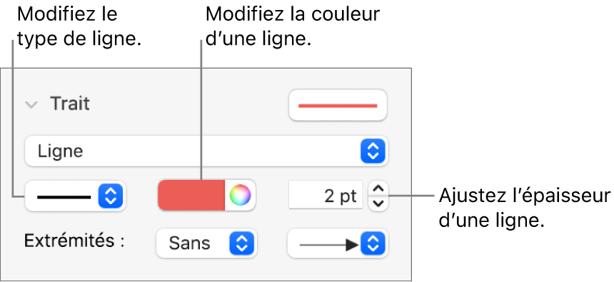 Les commandes de trait permettant de définir des extrémités, l’épaisseur du trait et sa couleur.