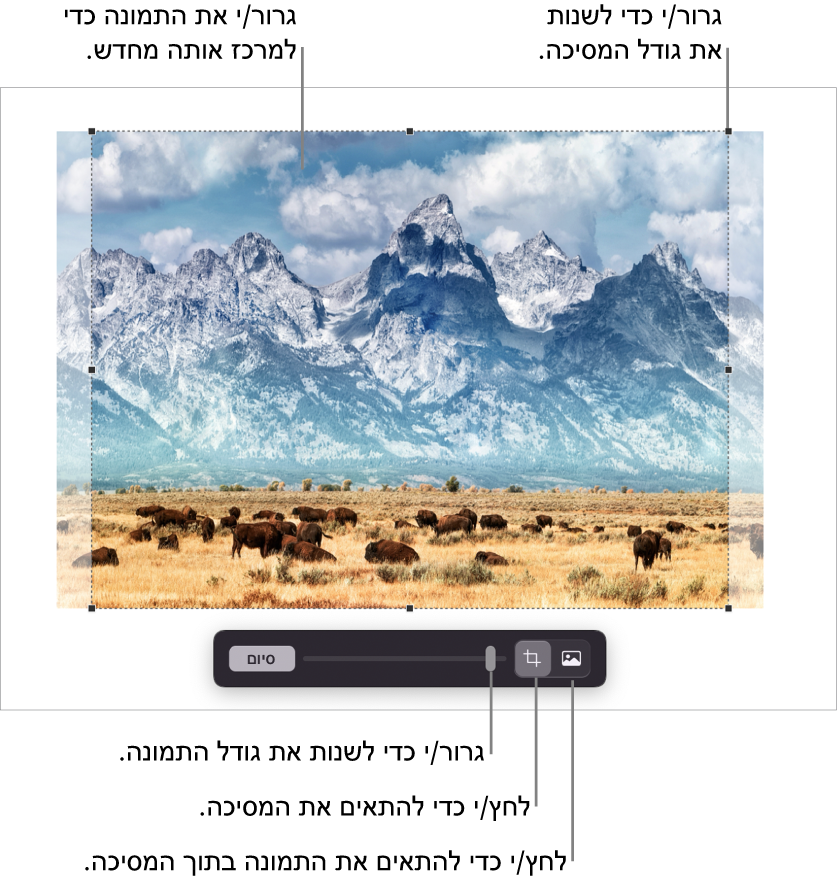 כלי הבקרה של מיסוך מעל תמונה.