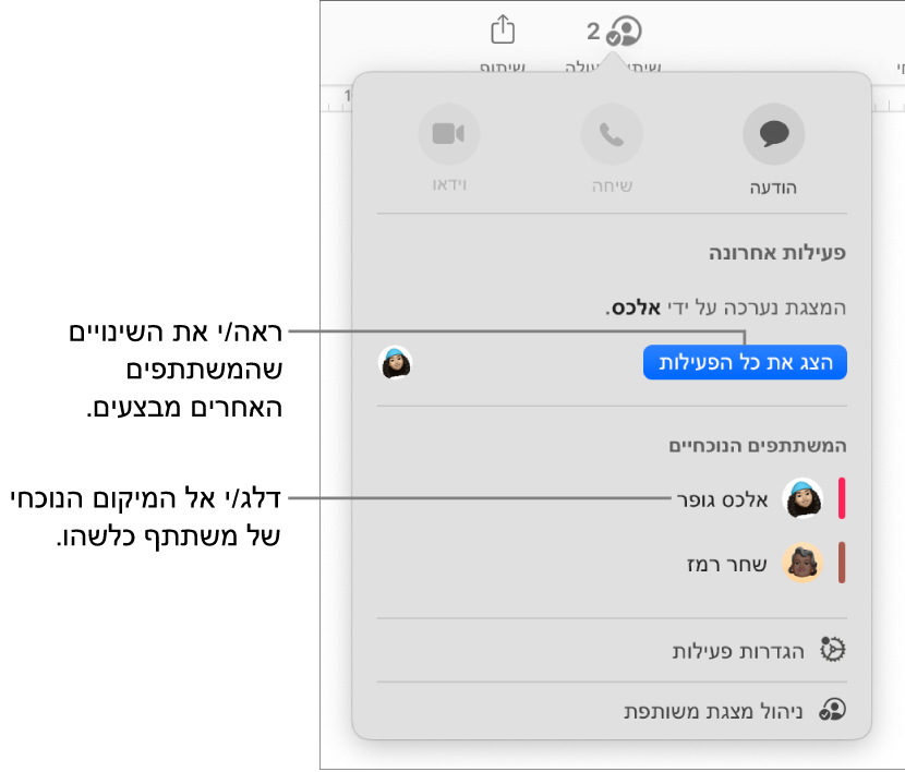 תפריט ״שיתוף פעולה״ שרואים בו שני משתתפים פעילים כעת.