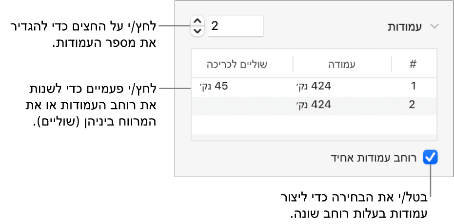 כלי בקרה במקטע העמודות לשינוי מספר העמודות והרוחב של כל עמודה.