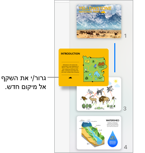 נווט השקפים מציג תמונה ממוזערת של שקפים שאורגנו מחדש עם קו משמאל.