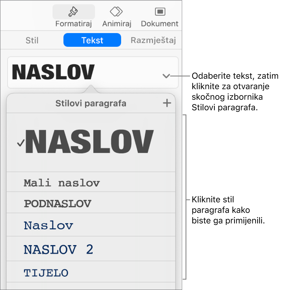 Izbornik stilova paragrafa s kvačicom uz odabrani stil.