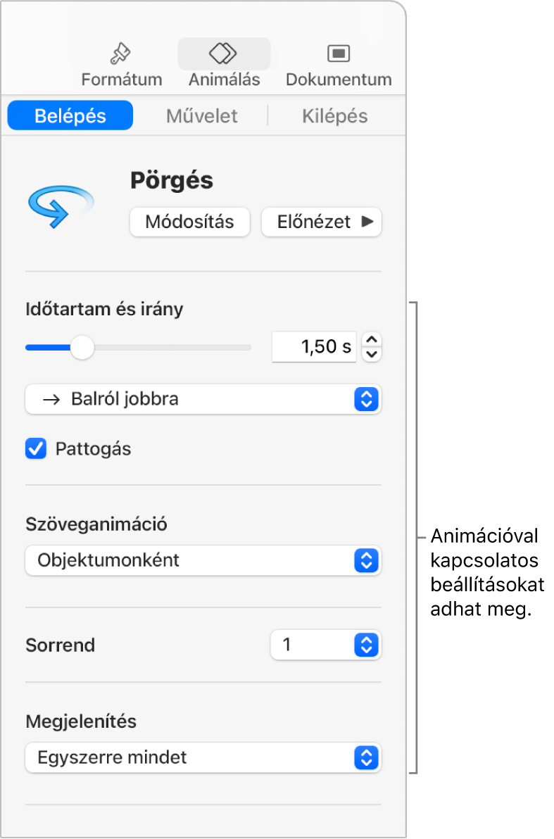 Belépési beállítások az oldalsáv Animálás szakaszában.