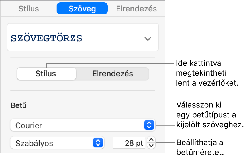 Szövegvezérlők az oldalsáv Stílus szakaszában a betűtípus és betűméret beállításához.