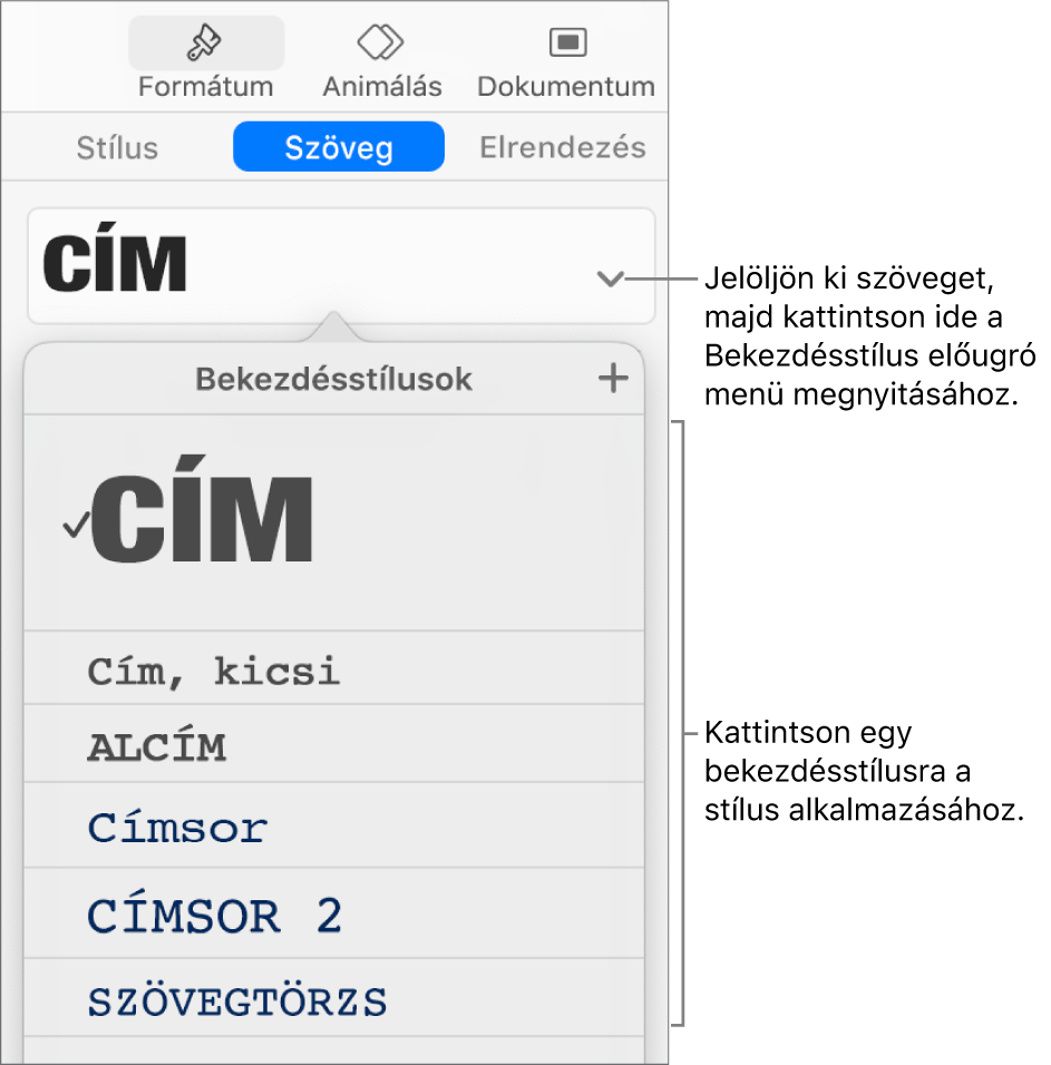 A Bekezdésstílusok menü, amelyben a kijelölt stílus mellett egy pipa látható.