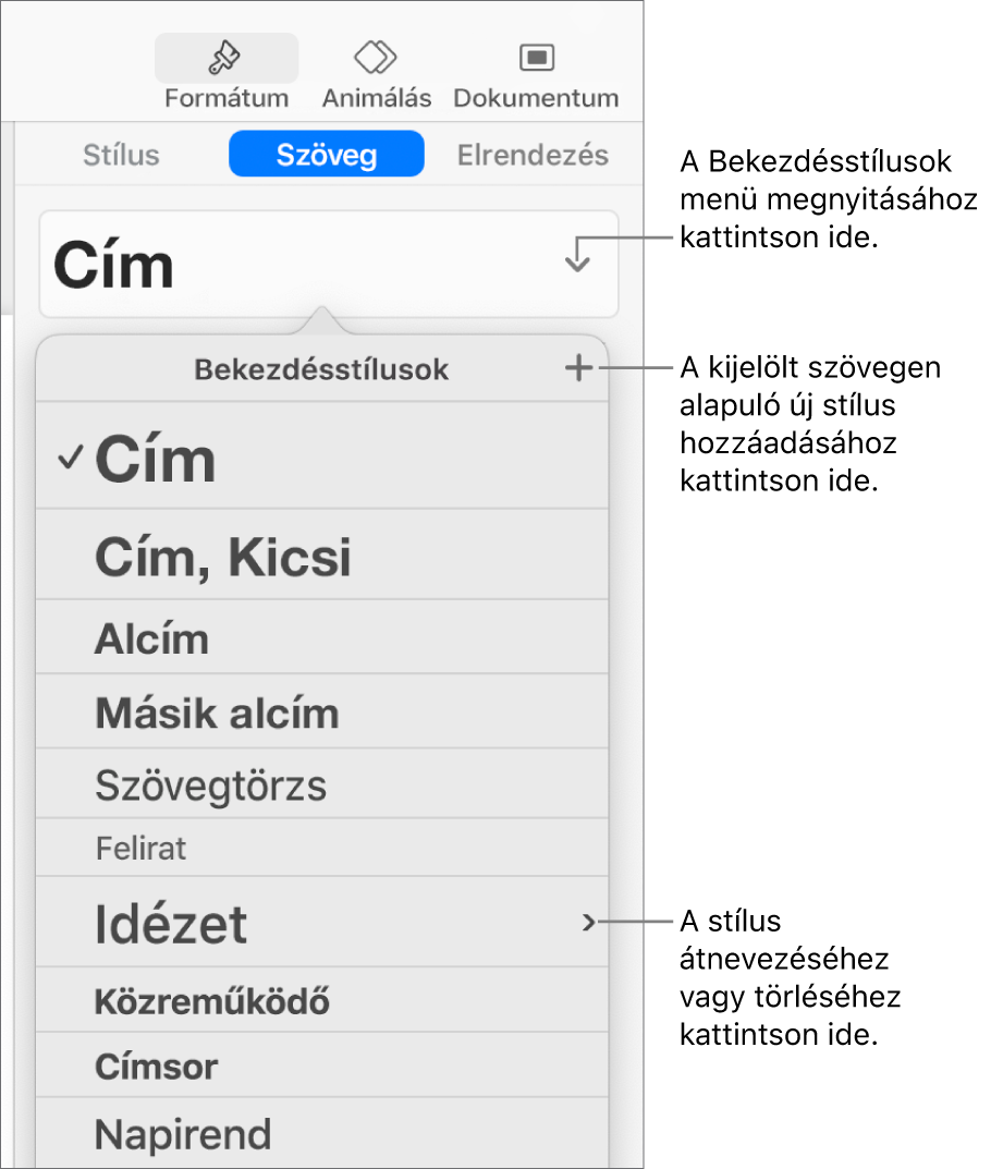 A Bekezdésstílusok menü a stílusok hozzáadására vagy módosítására szolgáló vezérlőkkel.