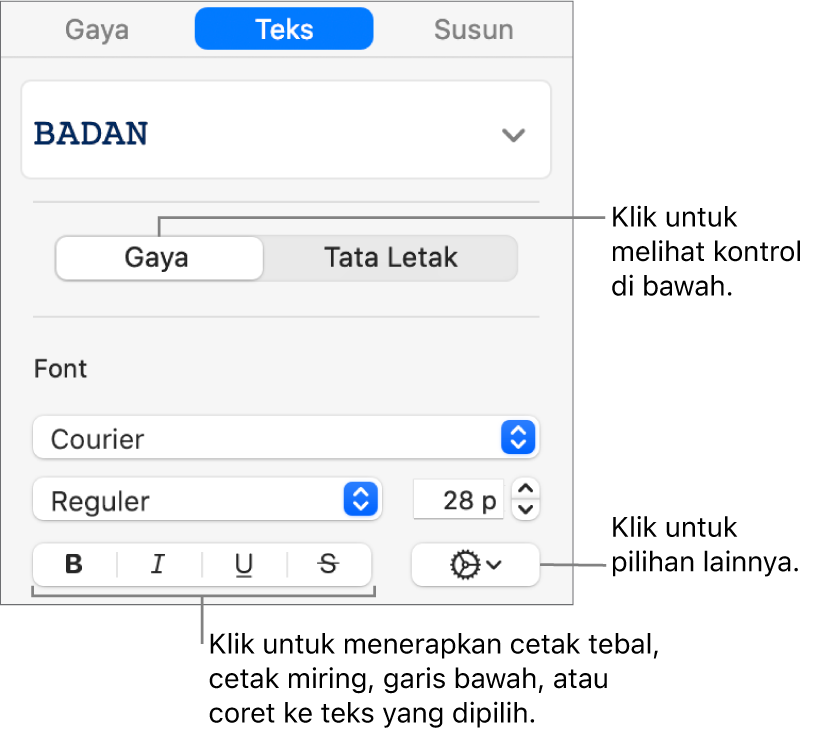Kontrol Gaya di bar samping dengan keterangan pada tombol Tebal, Miring, Garis Bawah, dan Coret.