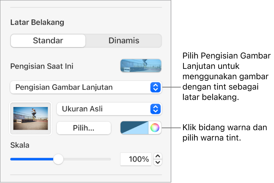 Kontrol Latar Belakang dengan Isi Gambar Lanjutan dengan tint diatur sebagai latar belakang slide.