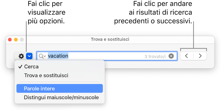 La finestra “Trova e sostituisci” con il menu a comparsa mostrante le opzioni per Trova, “Trova e sostituisci”, “Parole intere” e “Maiuscole/minuscole”. Le frecce a destra consentono di passare ai risultati di ricerca successivi o precedenti.