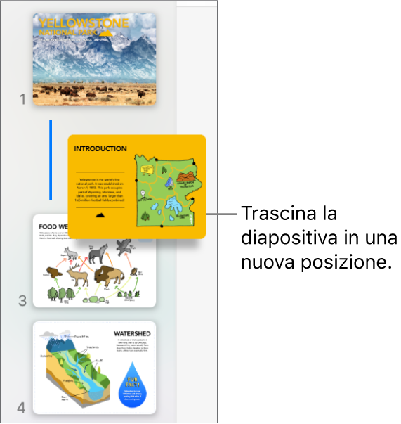 Il navigatore diapositive che mostra la miniatura di una diapositiva riordinata e una linea sulla sinistra.