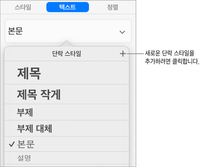 새로운 스타일 이름에 대한 설명이 있는 단락 스타일 메뉴.