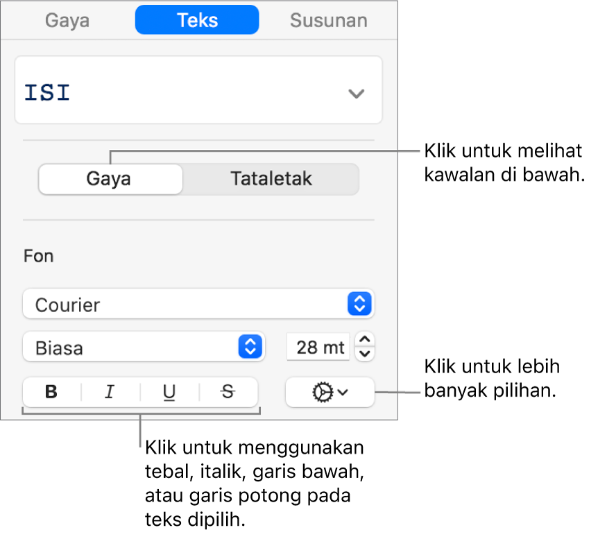 Kawalan Gaya dalam bar sisi dengan petak bual untuk butang Tebal, Italik, Garis Bawah dan Garis Potong.