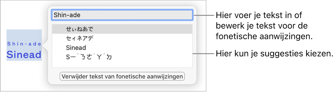 De fonetische aanwijzingen voor een woord, met uitleg bij het tekstveld en de voorgestelde tekst.