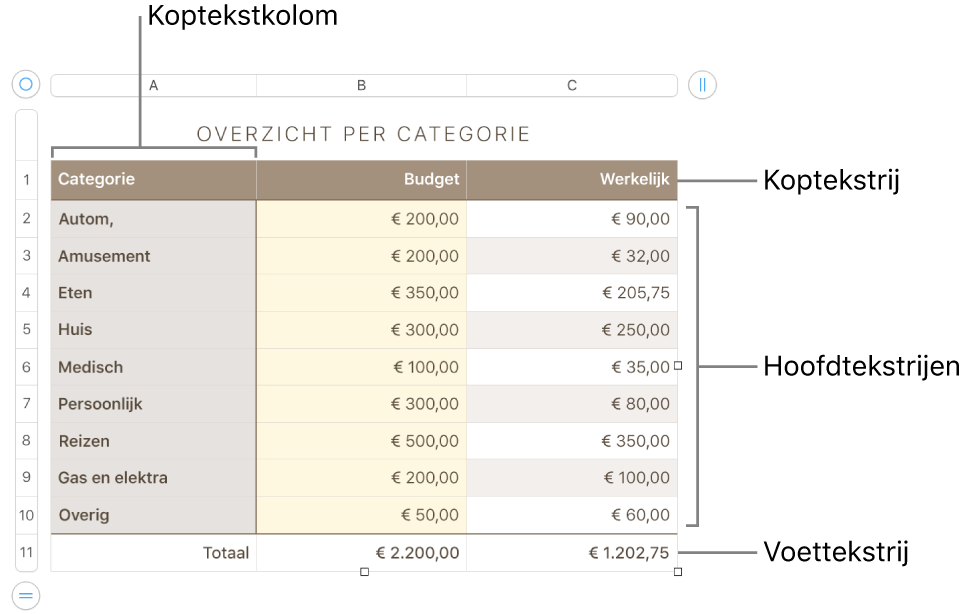 Een tabel met koptekst-, hoofdtekst- en voettekstrijen en -kolommen en selectiegrepen voor het toevoegen of verwijderen van rijen en kolommen.