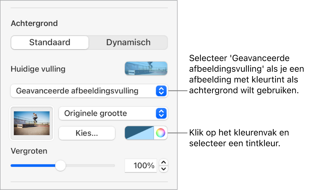 De achtergrondregelaars; als dia-achtergrond is een geavanceerde afbeeldingsvulling met een tint ingesteld.